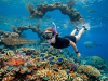 Aktivitas snorkeling tamu Nirwana Resort di pulau terdekat